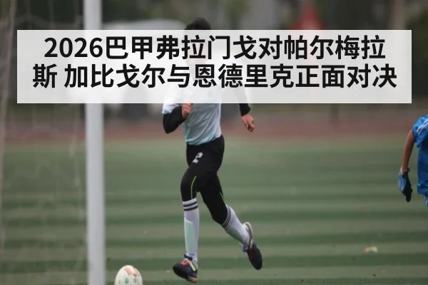 2026巴甲弗拉门戈对帕尔梅拉斯 加比戈尔与恩德里克正面对决 | kaiyun sport